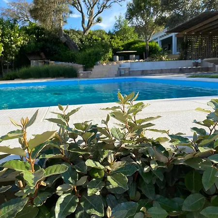 La Multaiola Con Piscina Couette-café