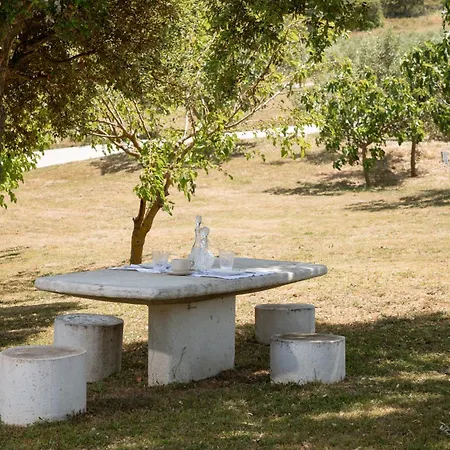 Bed & Breakfast La Multaiola Sant'Antonio di Gallura